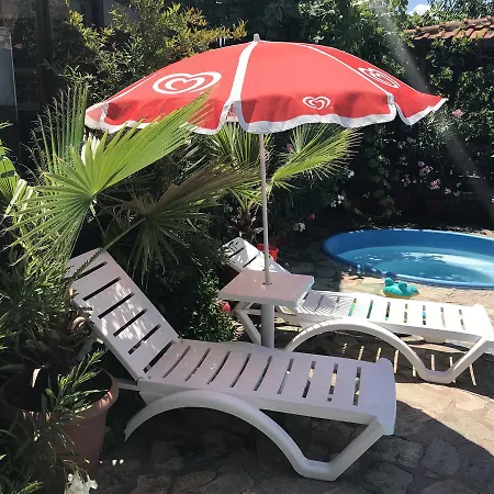 Ξενοδοχείο Bisser