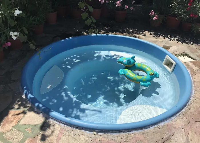 酒店 Bisser 奥布佐尔